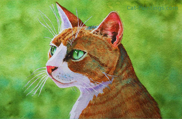 feral tabby cat picture