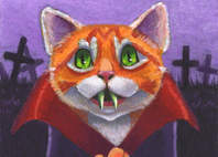 Count Catula