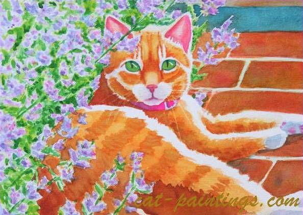 orange tabby manx pink collar lavender plant