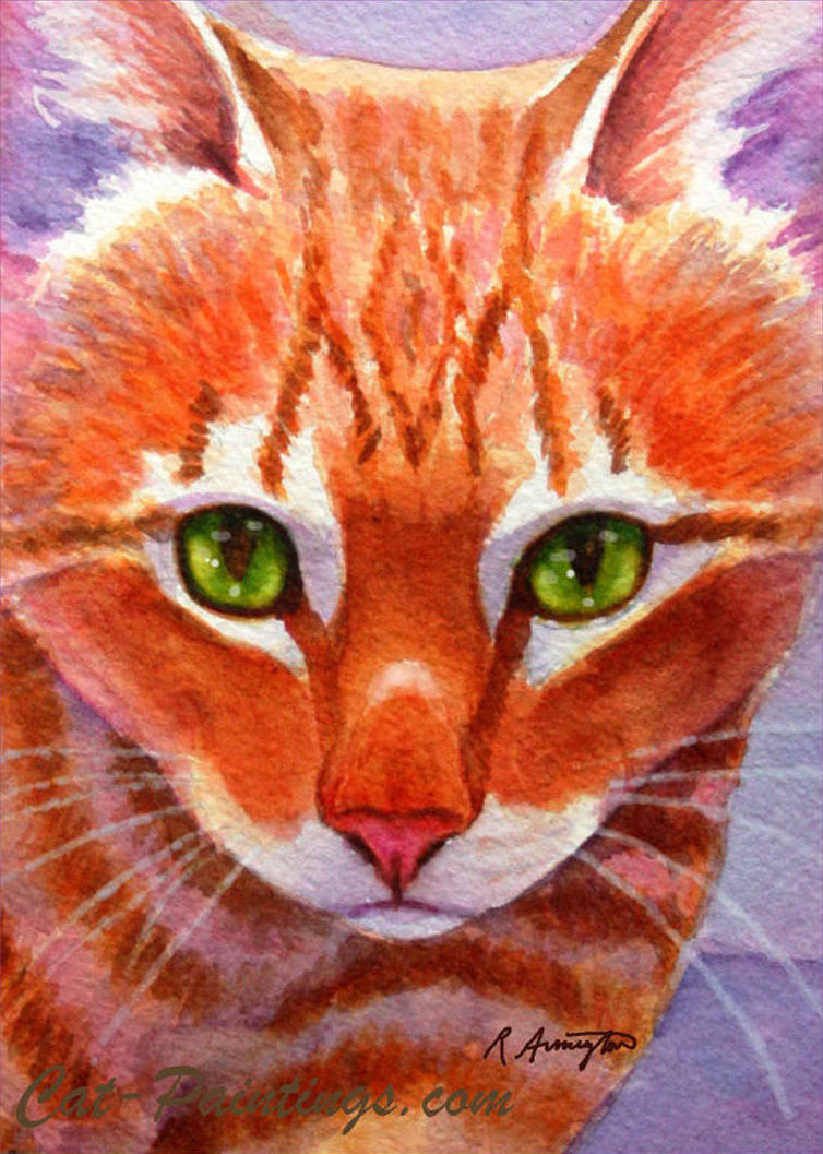 Orange tabby cat in a bad mood