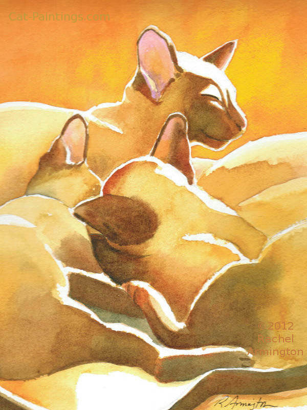 Sunshine Cats by Rachel Armington