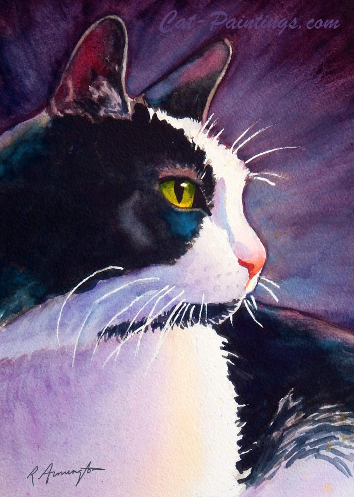Stormy black tuxedo cat calendar