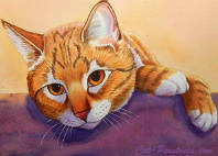 tabby cat
