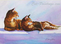 Two tabbies in love