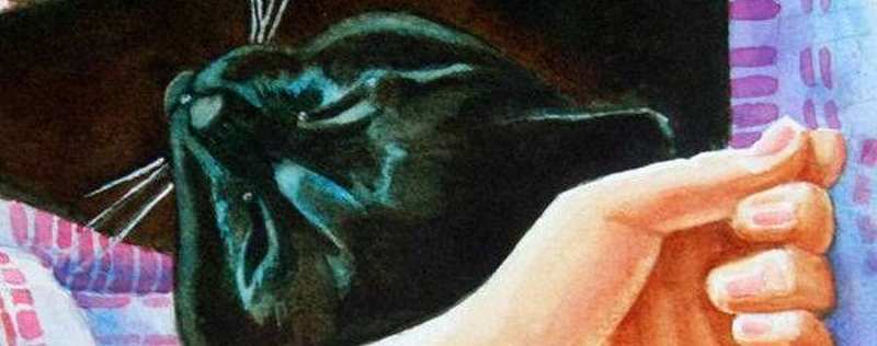 Cat Paintings Banner