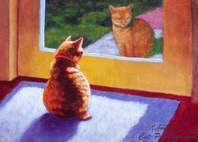 pets portrait