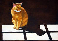 pets picture