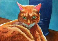 pets pictures