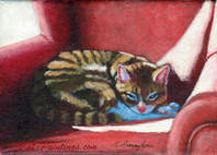 cat on red chair