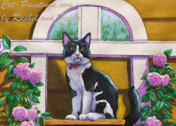 black tuxedo cat