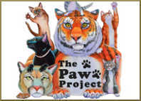 kittens posters