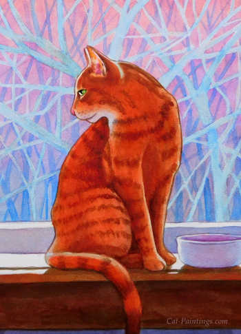 Tabby in winter