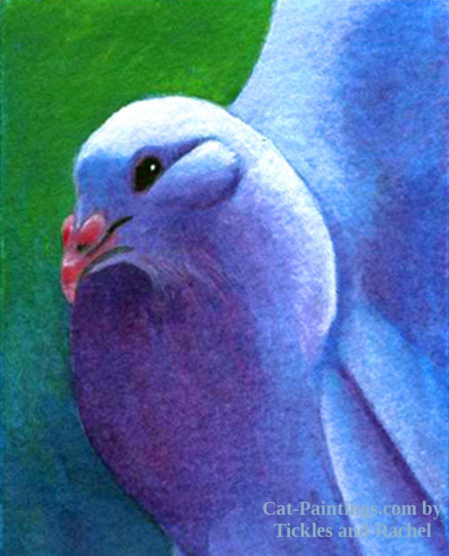 Christmas Dove