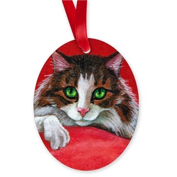 Cat on Red Pillow