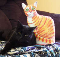 Cat Craft