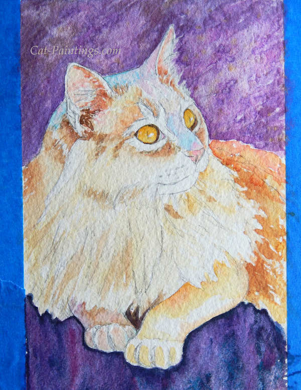 Pet Portraits
