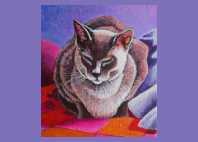 kitten artists