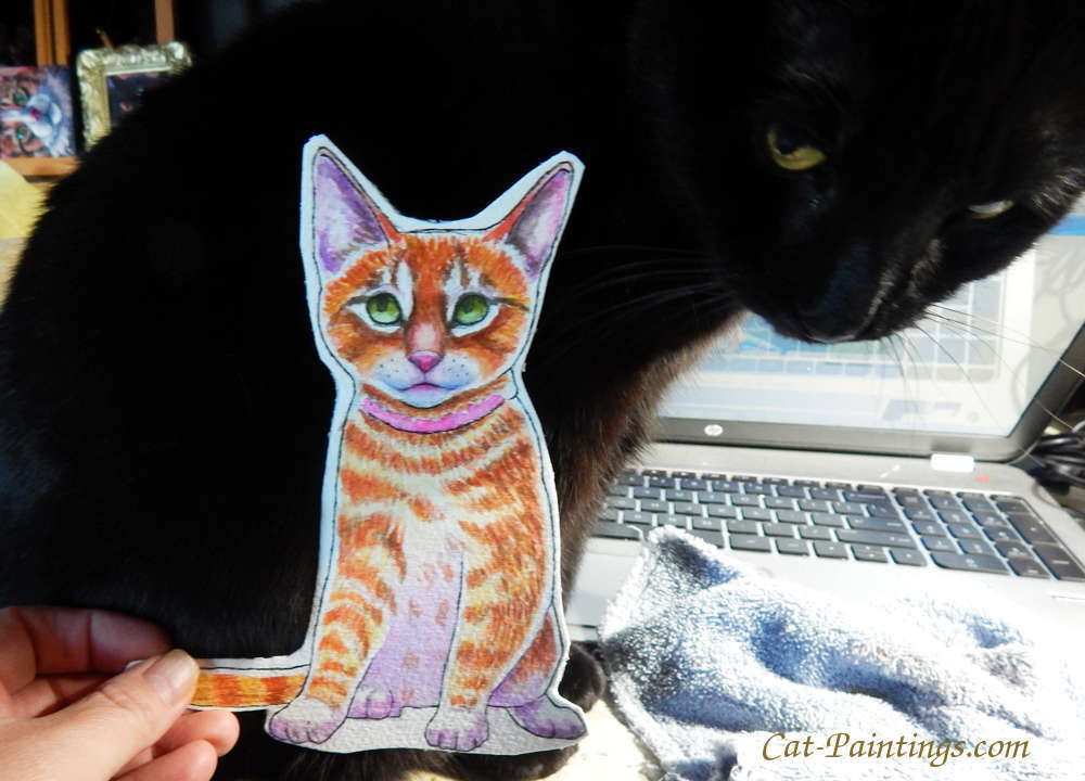 Adopt a Cat