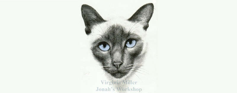 Cat Paintings Banner