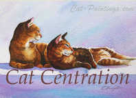 cat portrait