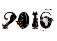 cat portraits