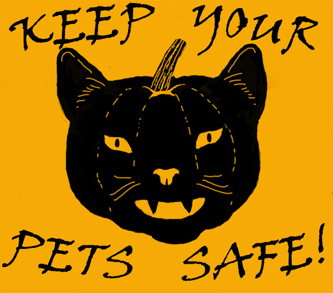 Halloween Warning
