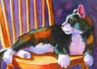cats picture
