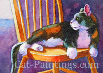 Calico Cat Picture