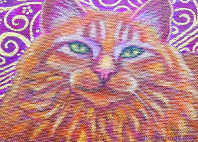 cats artist