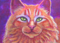 cats artists