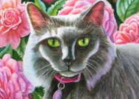 cats artwork