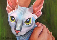 cat paintings