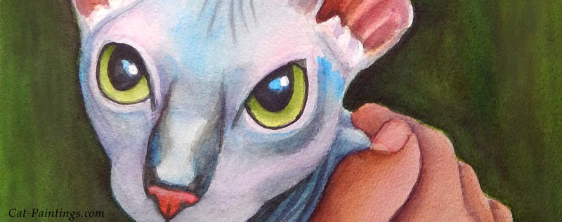 Cat Paintings Banner