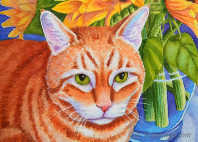 cat posters