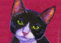 Cat will you be my Valentine?
